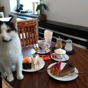 Kočcafé