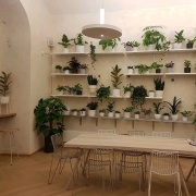 Urban Café