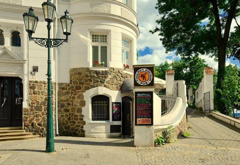 Toulavý kocour
