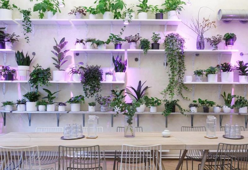 Urban Café