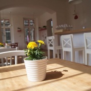 Bar Barovna
