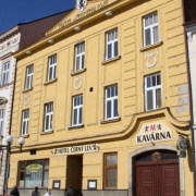 U Černého lva