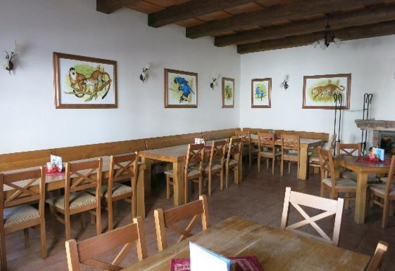 Amazonka