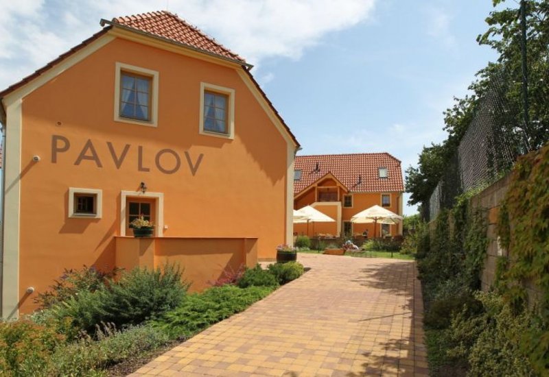Restaurace hotelu Pavlov
