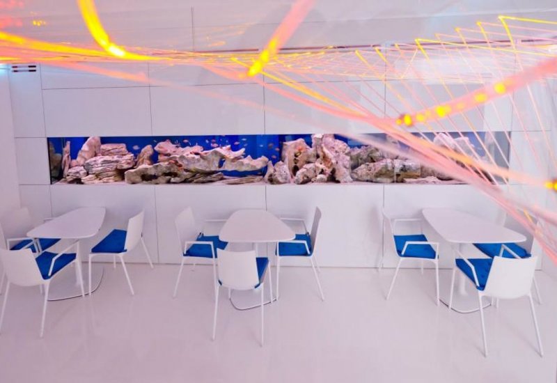 Aquarium Bar