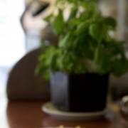 Ypsilon Café