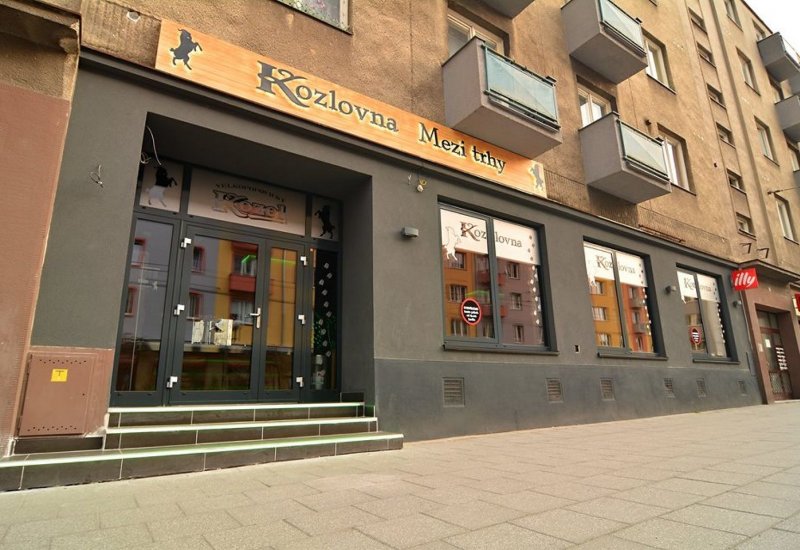 Kozlovna Opava