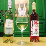 Vinotéka Malá Morava