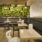 Deli by Lagarto Most